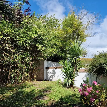 Apartman St Georges Rest New Quay